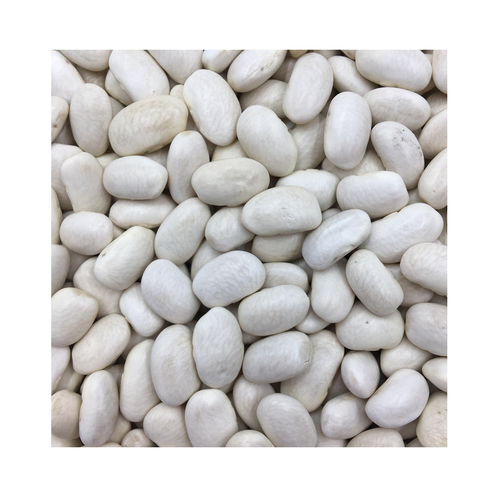 Organic Haricot Beans 400g