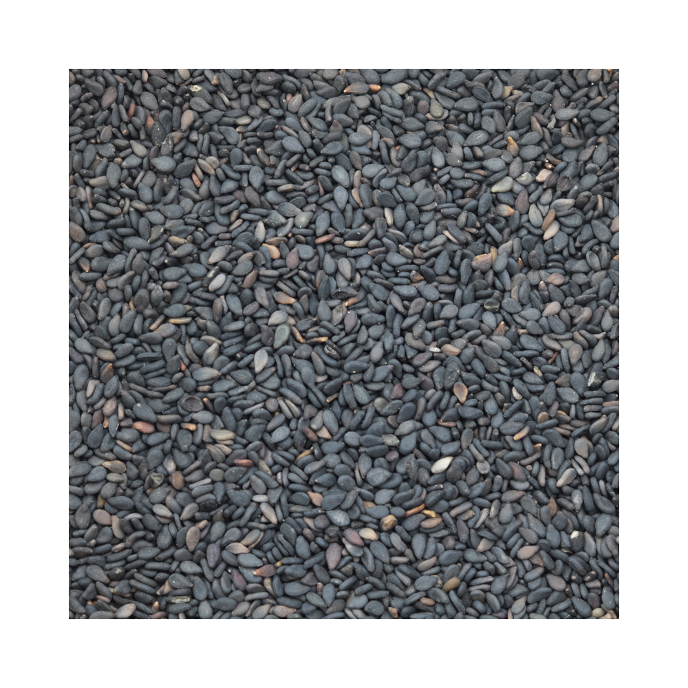 Basil Seeds 100g