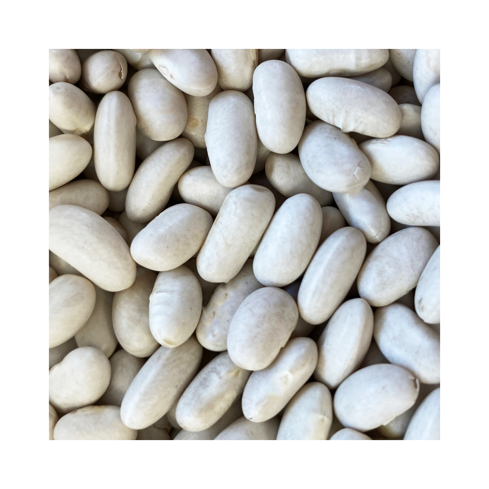 Cannellini Beans