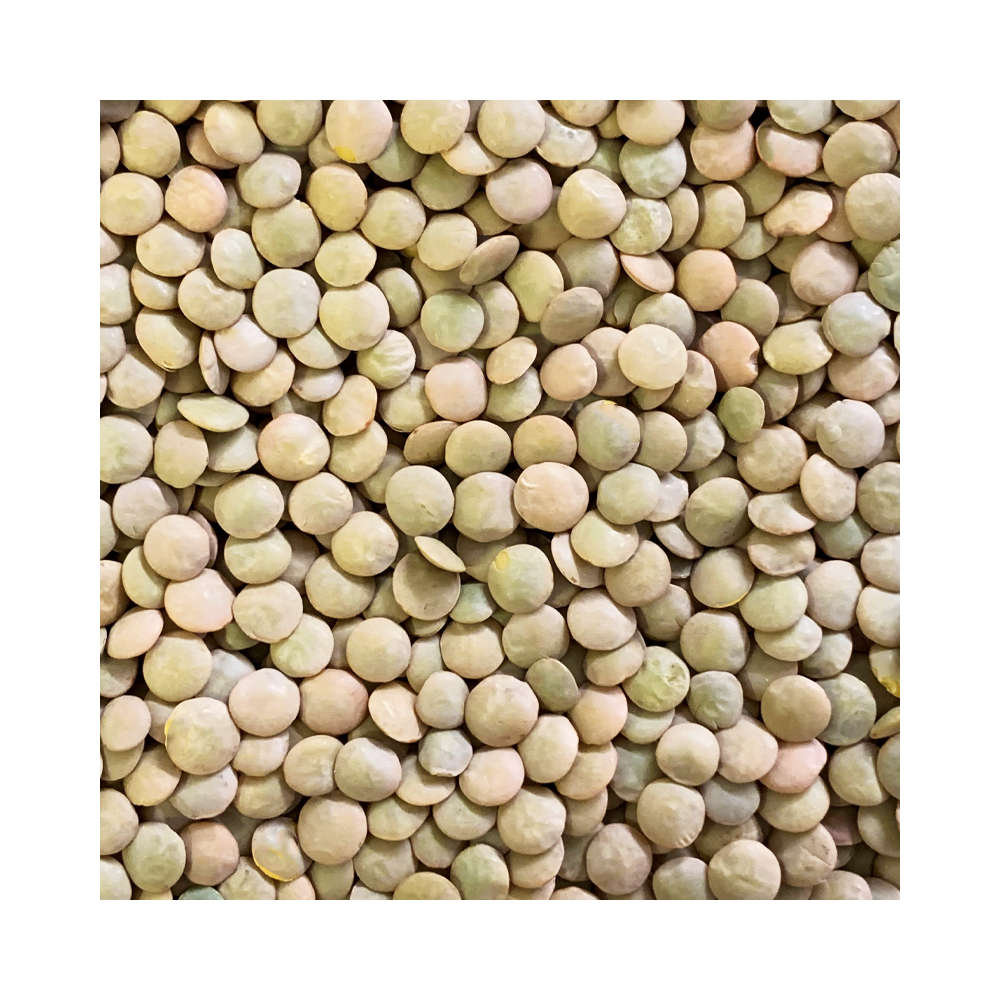 Green Lentils 500g