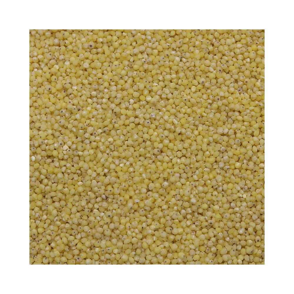 Organic Millet 1kg