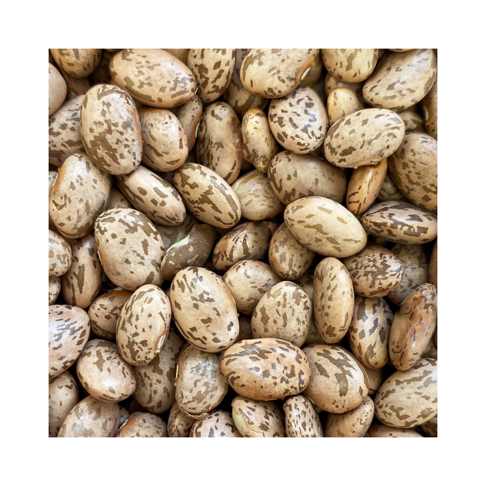 Pinto Beans 500g
