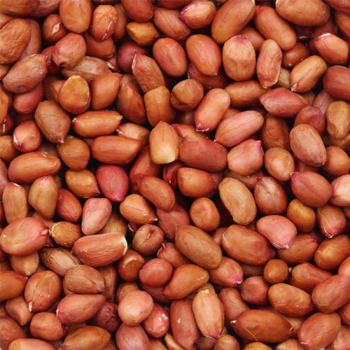 Redskin Peanuts