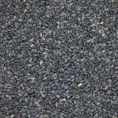 Basil Seeds 100g