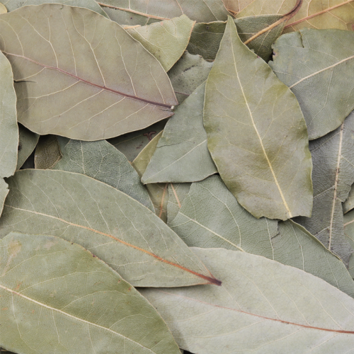 Bay Leaves 15g