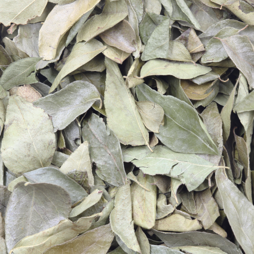 Curry Leaves 25g