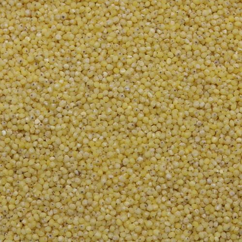 Organic Millet 1kg