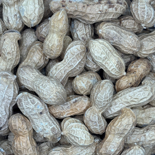 Roasted Monkey Nuts 500g