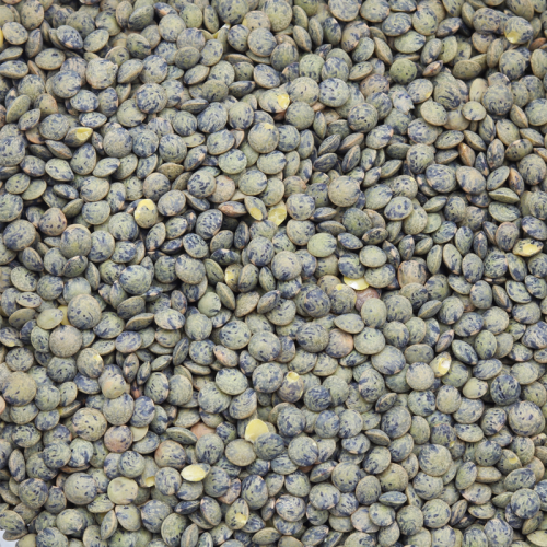 Speckled Lentils 500g