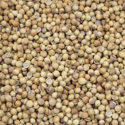 Coriander Seeds