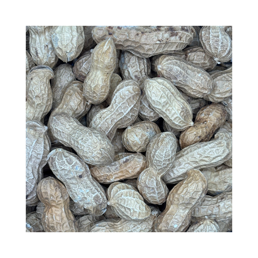 Roasted Monkey Nuts 500g