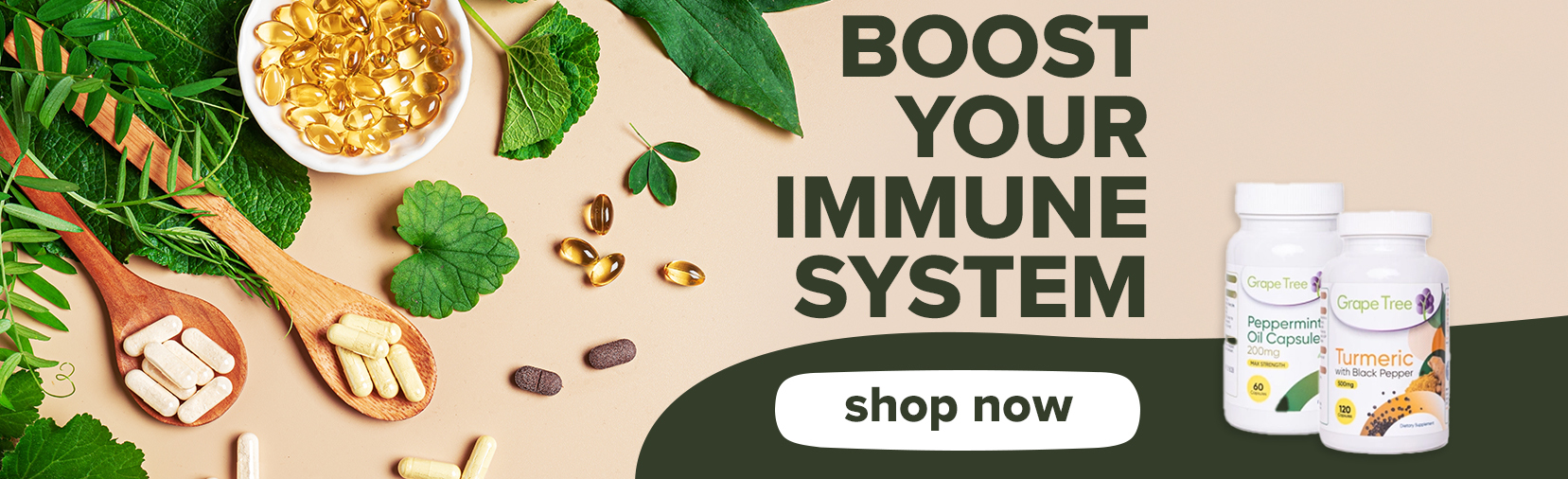 Boost Your Immune System