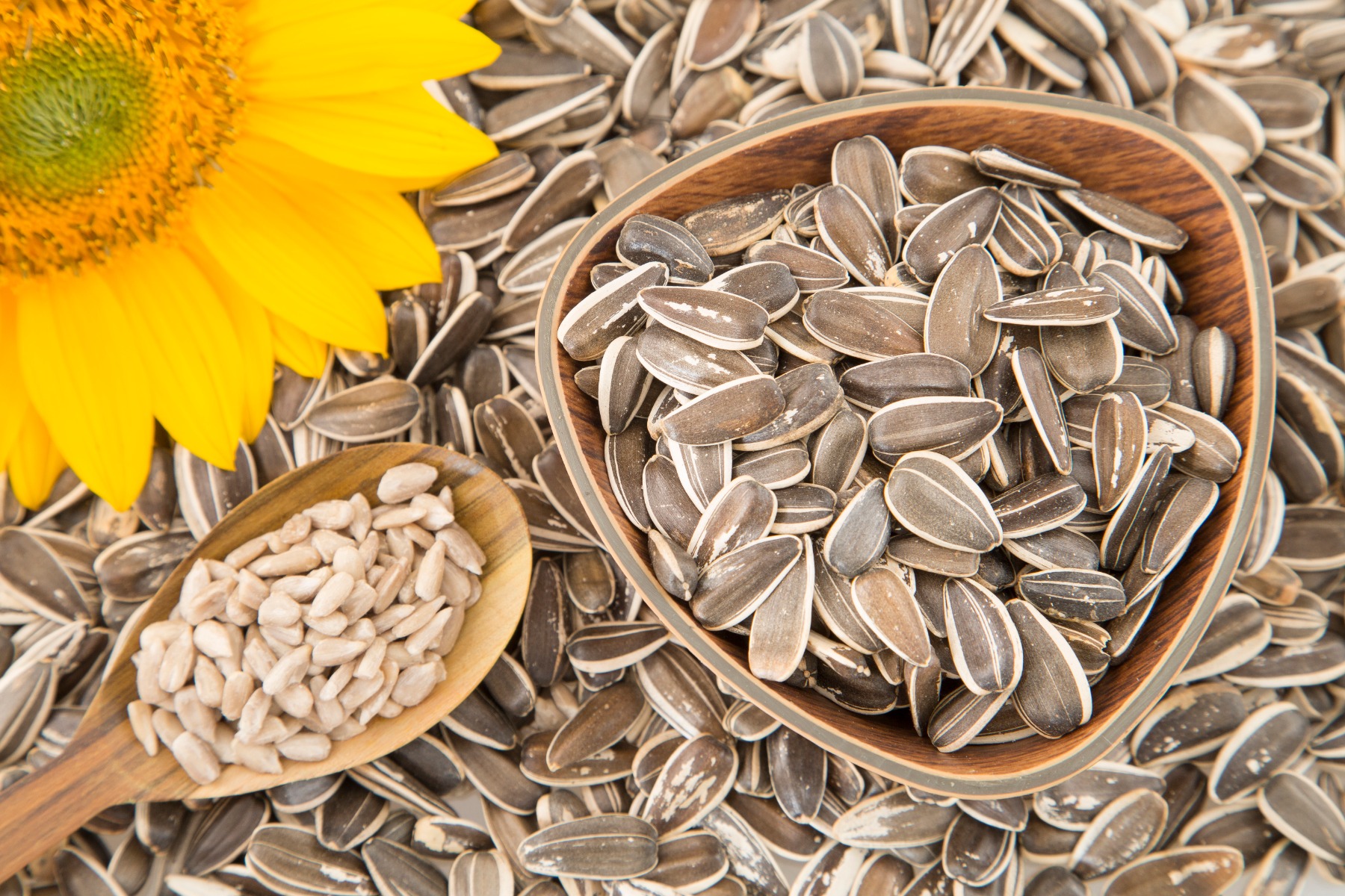 sunflower seeds