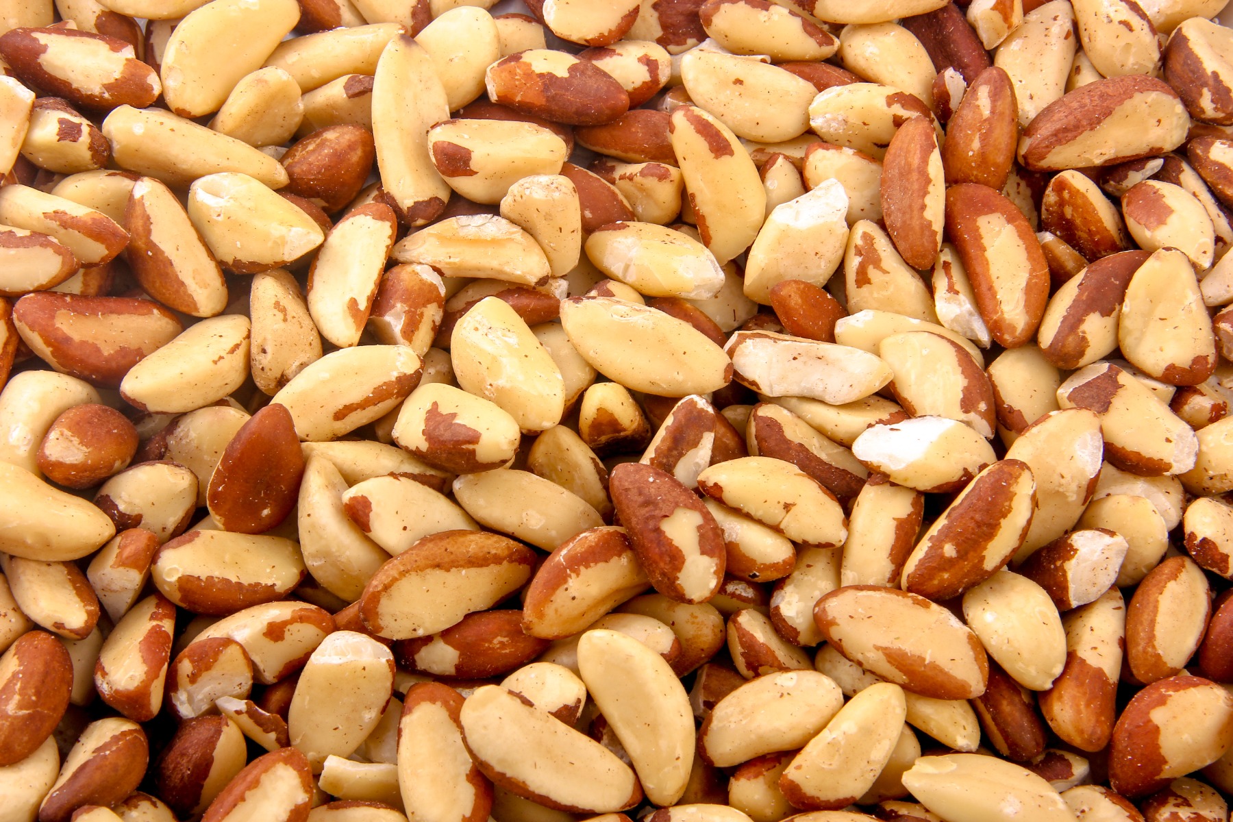 Brazil Nuts