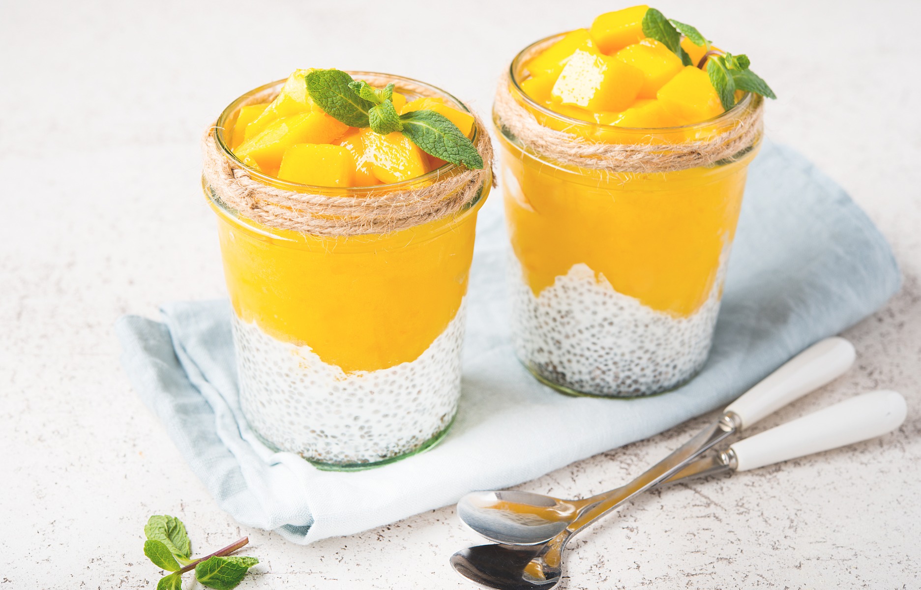 Mango Puree Chia Pudding