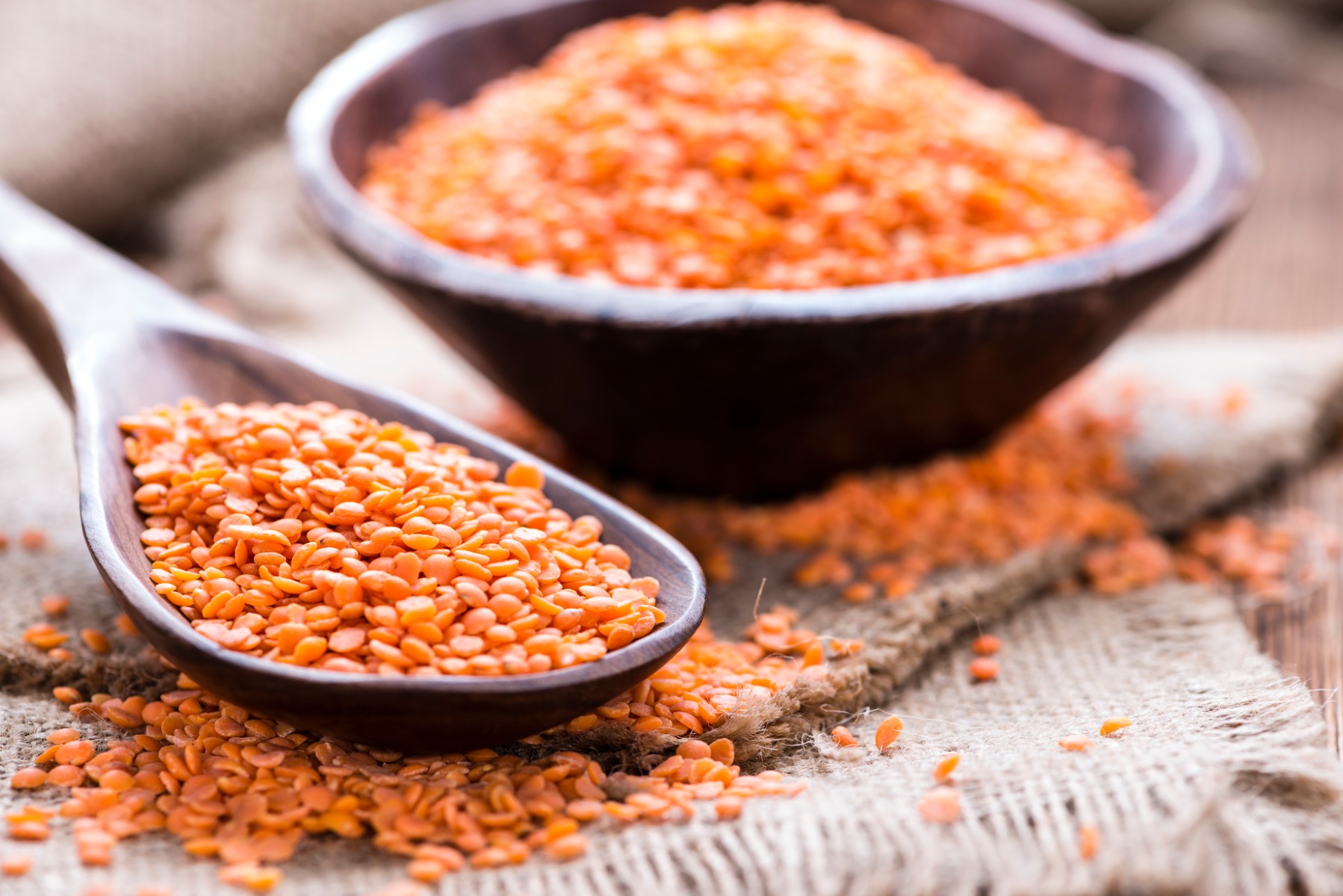 Red Lentils