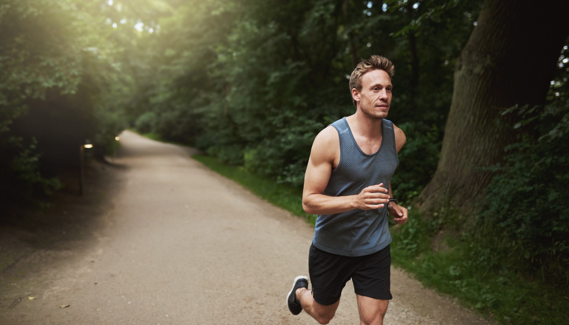 Turkey tail can enhance athletic performance