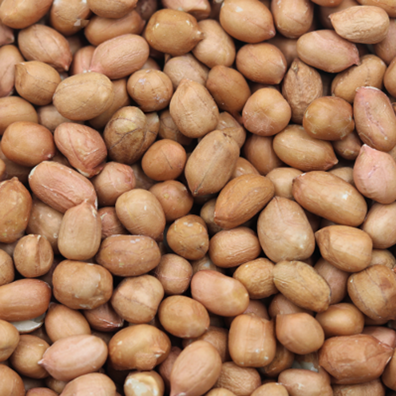 Image of Organic Paleskin Peanuts 500g