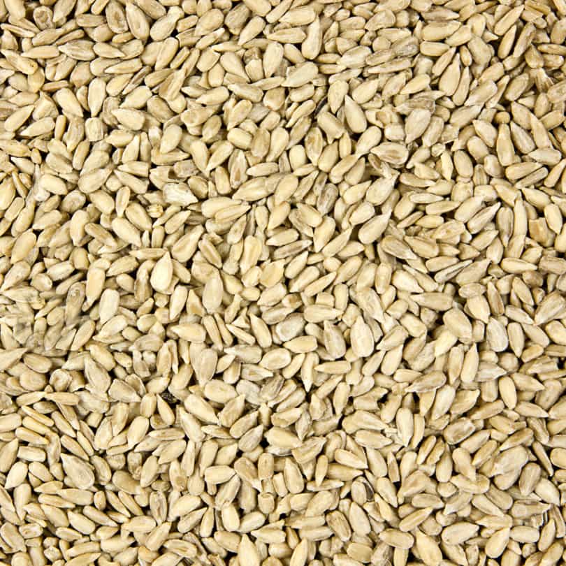 Image of Sunflower Seeds 1kg